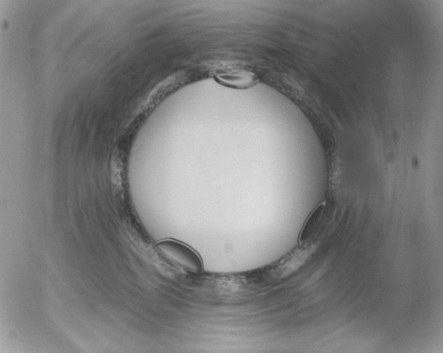 X0000052550282200507291923