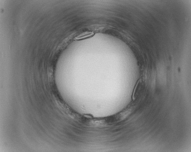 X0000052550283200507291923