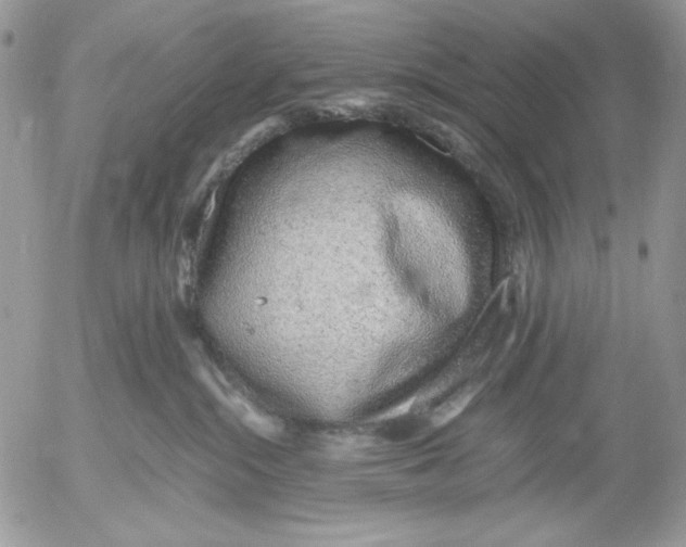 X0000052550284200507291923