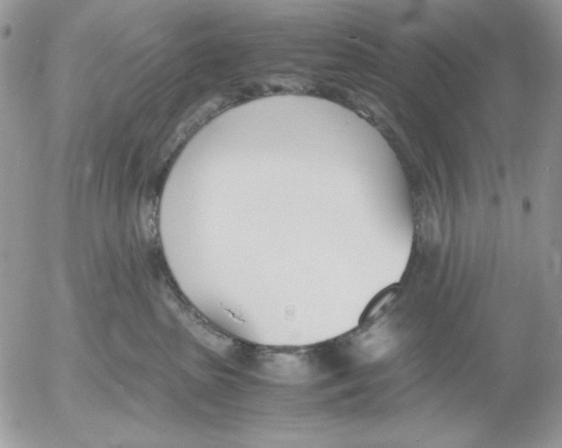 X0000052550285200507291923