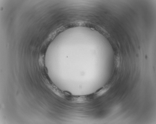 X0000052550286200507291923