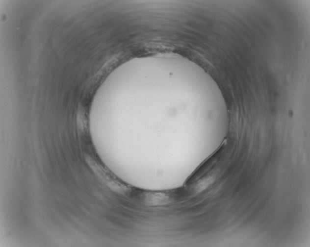 X0000052550287200507291923