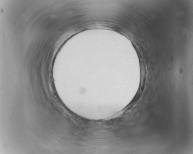 X0000052550289200507291923