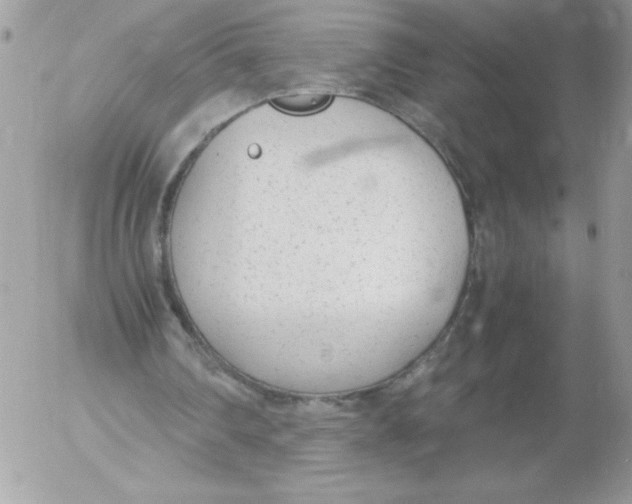 X0000052550290200507291923