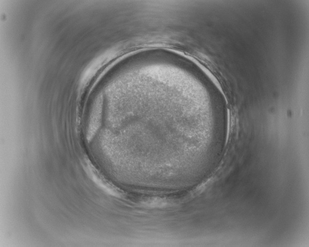 X0000052550293200507291923