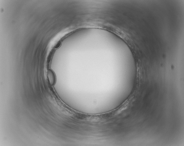 X0000052550294200507291923