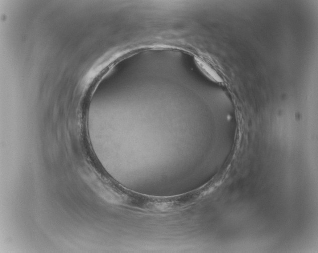 X0000052550295200507291923