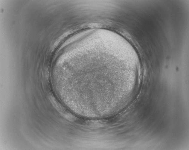 X0000052550297200507291922