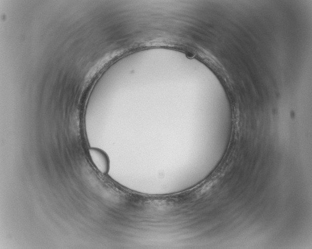 X0000052550298200507291922