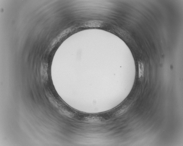 X0000052550300200507291922