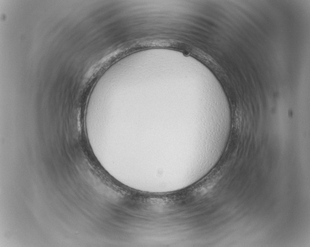 X0000052550302200507291922