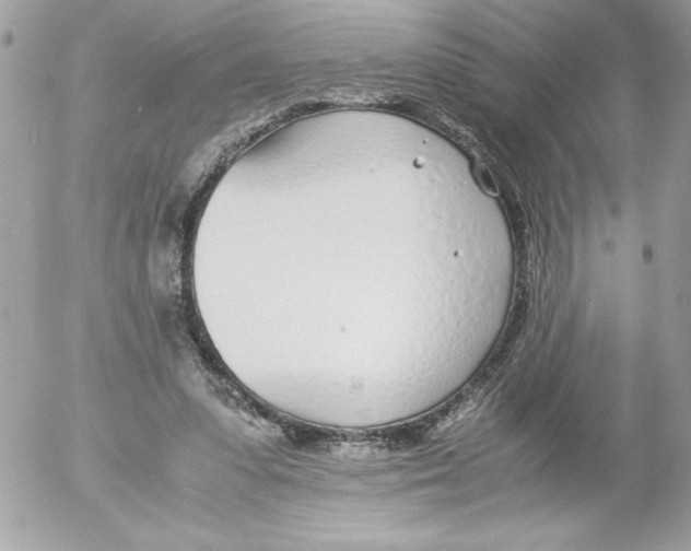 X0000052550303200507291922