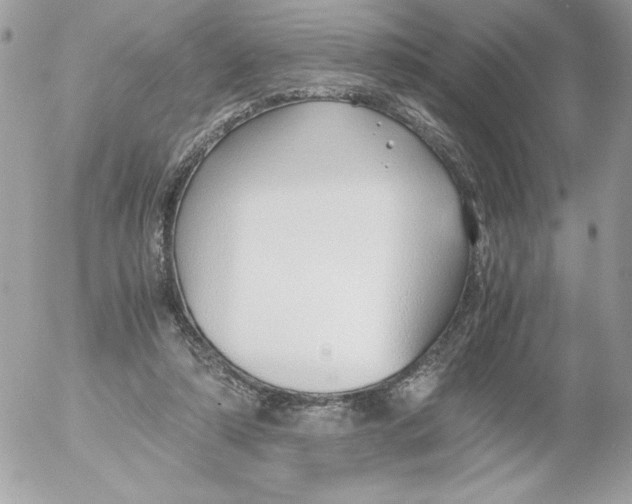 X0000052550306200507291922