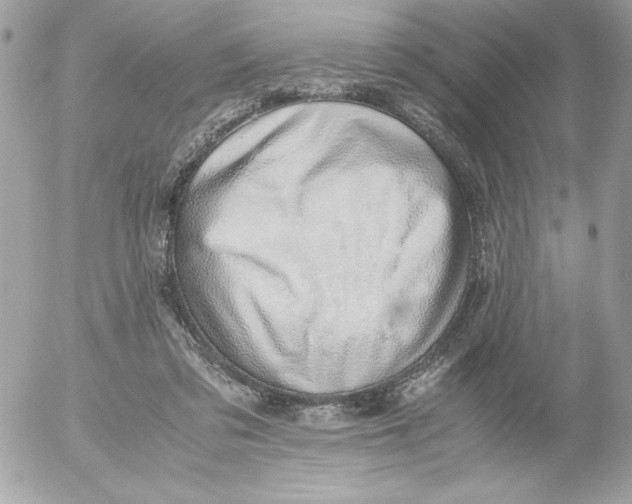 X0000052550309200507291922