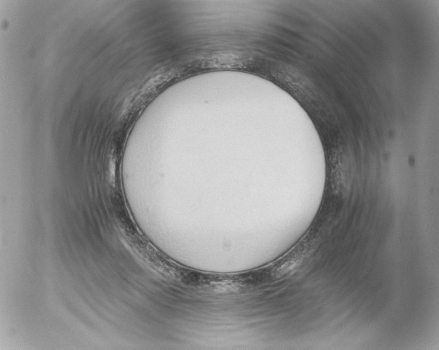 X0000052550310200507291922