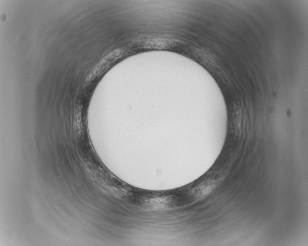 X0000052550312200507291922