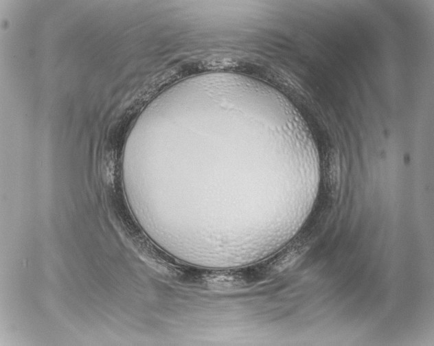 X0000052550315200507291922