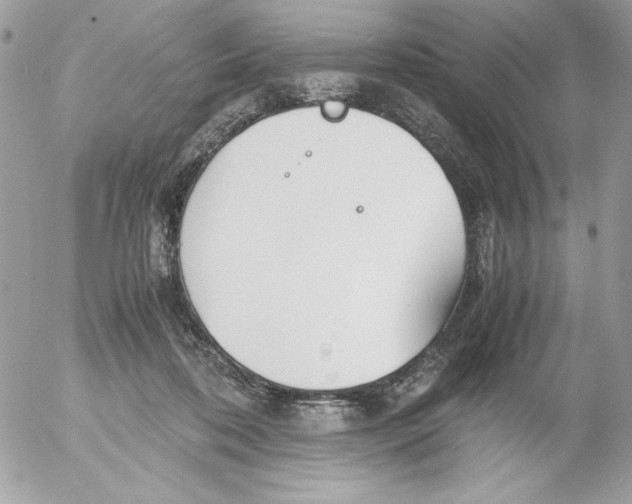 X0000052550316200507291922