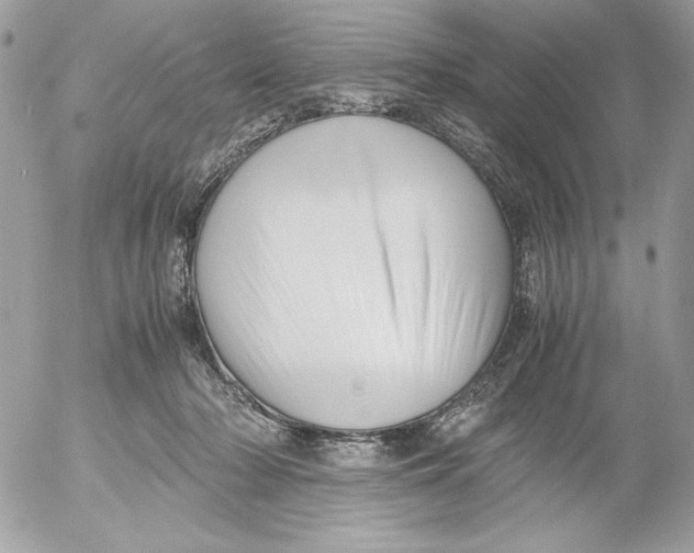 X0000052550318200507291922