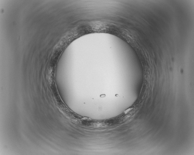 X0000052550319200507291922