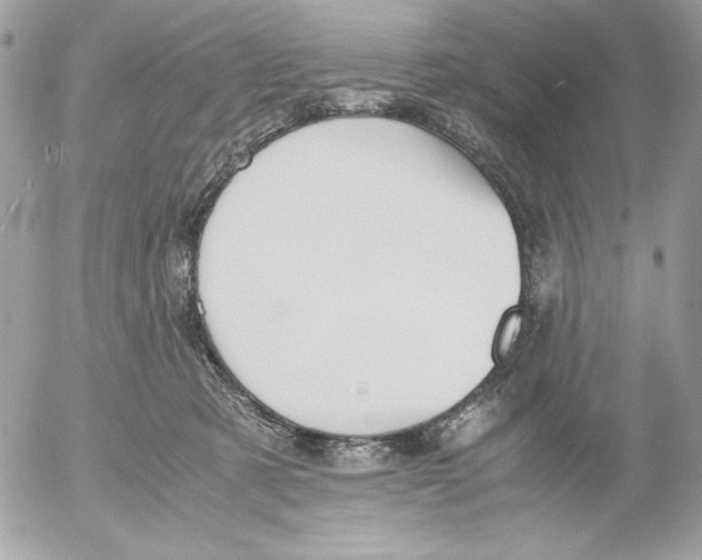 X0000052550321200507291922