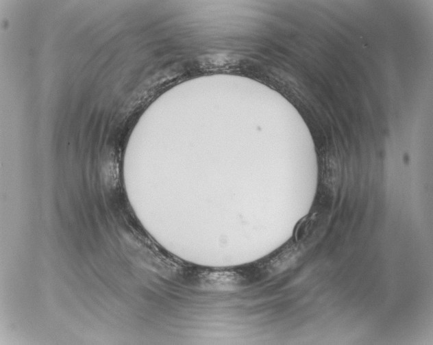 X0000052550324200507291922