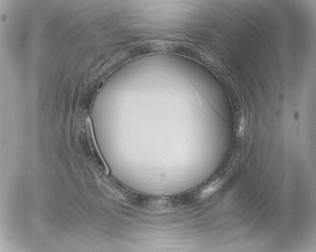 X0000052550325200507291922