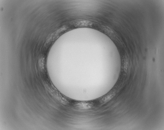 X0000052550326200507291922