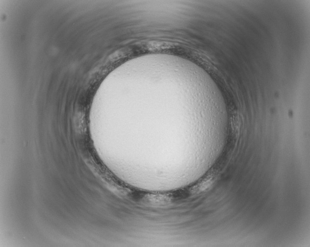 X0000052550327200507291922