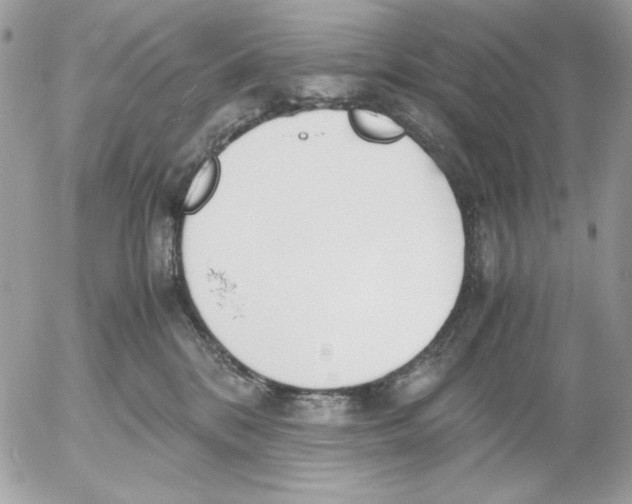 X0000052550328200507291922