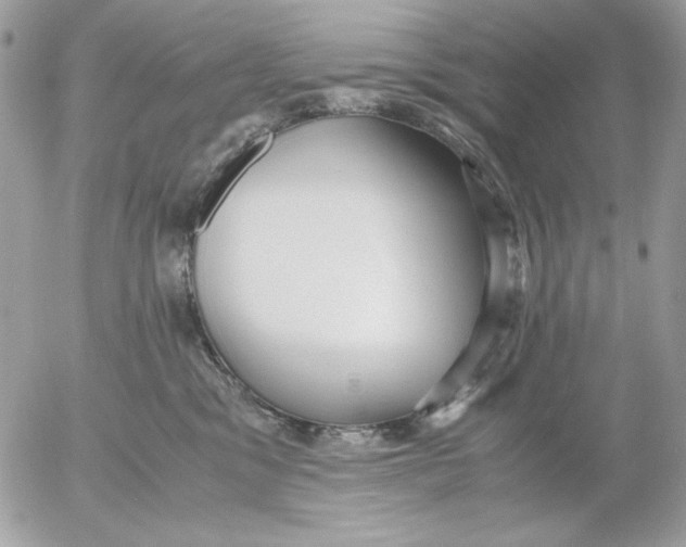 X0000052550329200507291922