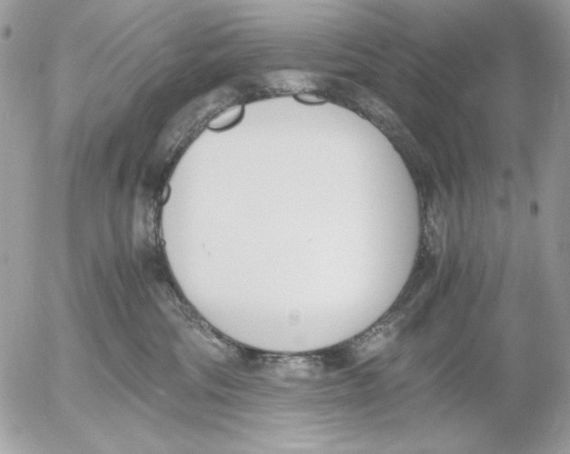 X0000052550330200507291922