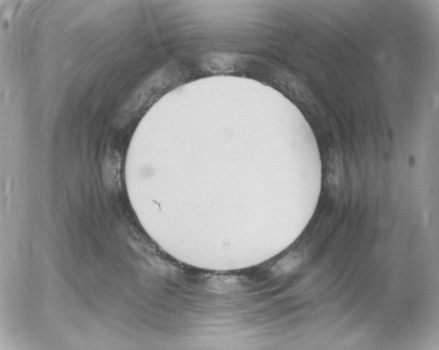 X0000052550332200507291922