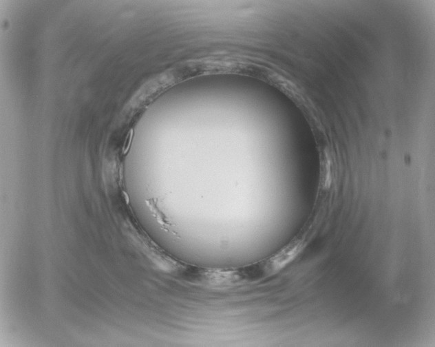 X0000052550333200507291922