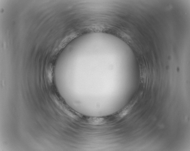 X0000052550334200507291922