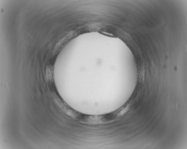 X0000052550335200507291922