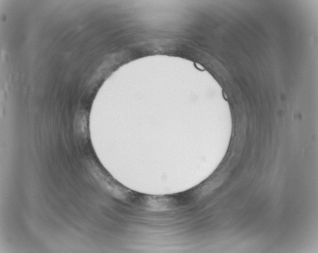 X0000052550336200507291922