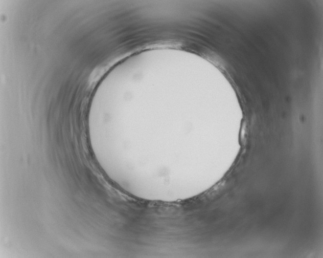 X0000052550337200507291921