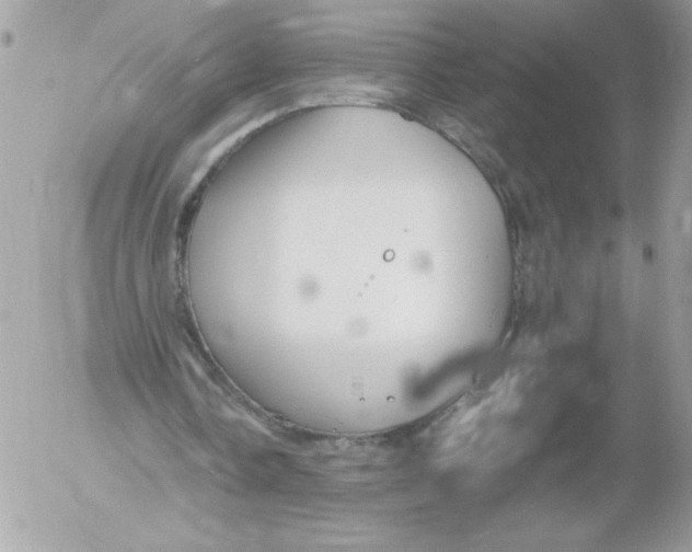 X0000052550338200507291921