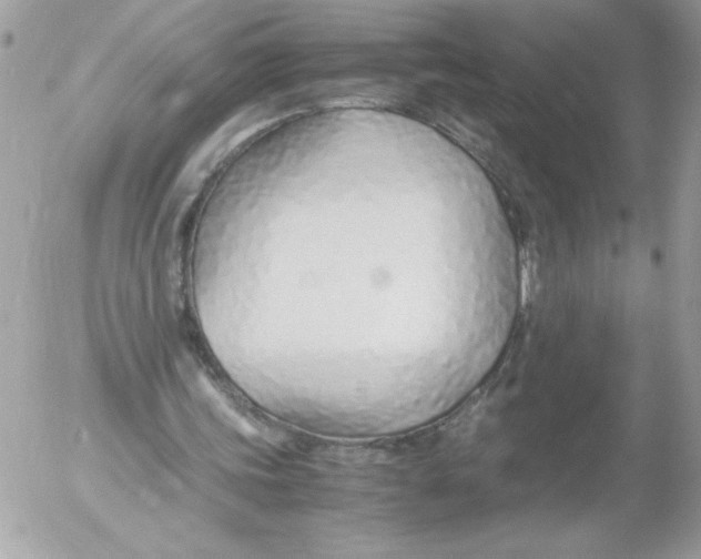 X0000052550339200507291921