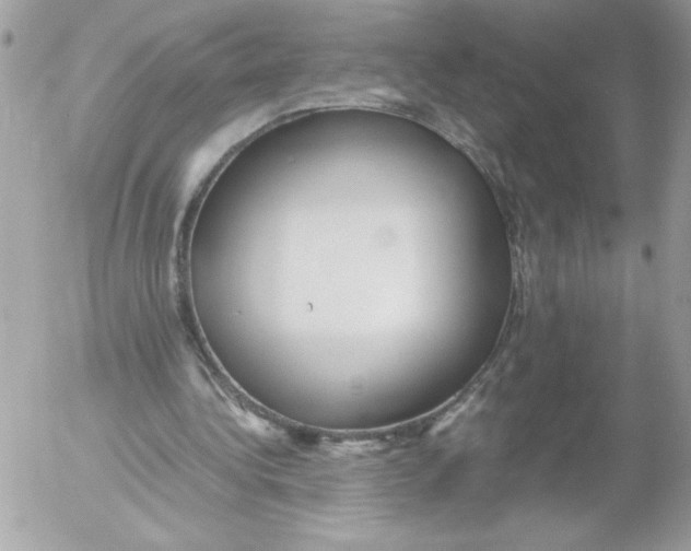 X0000052550340200507291921