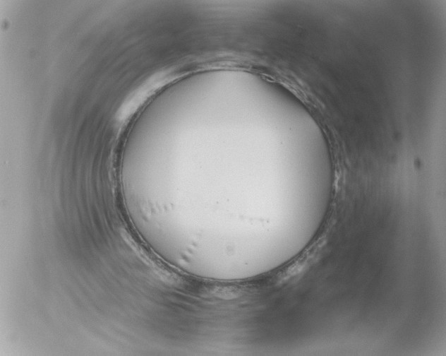 X0000052550341200507291921