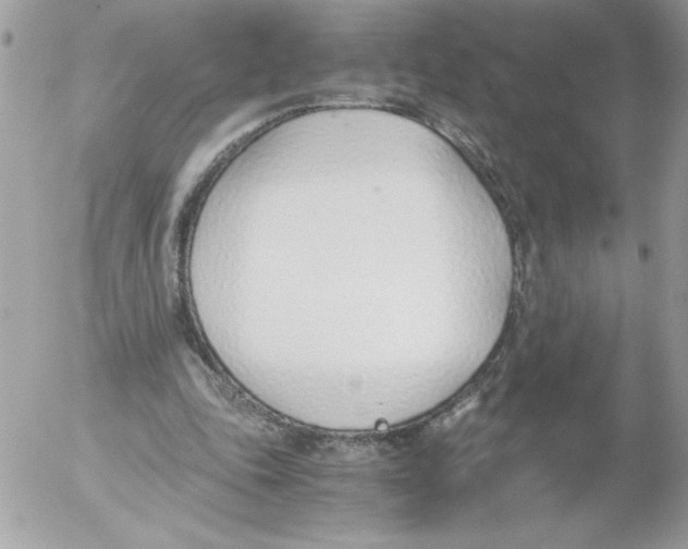 X0000052550343200507291921