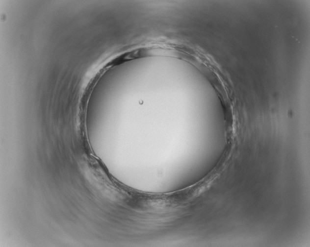 X0000052550344200507291921