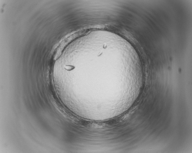 X0000052550346200507291921