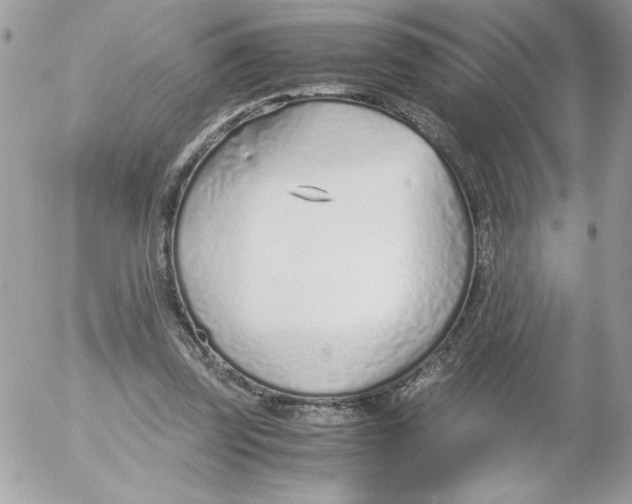 X0000052550347200507291921