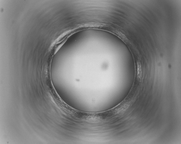 X0000052550348200507291921