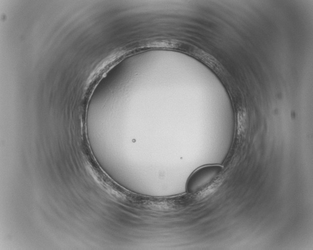 X0000052550349200507291921