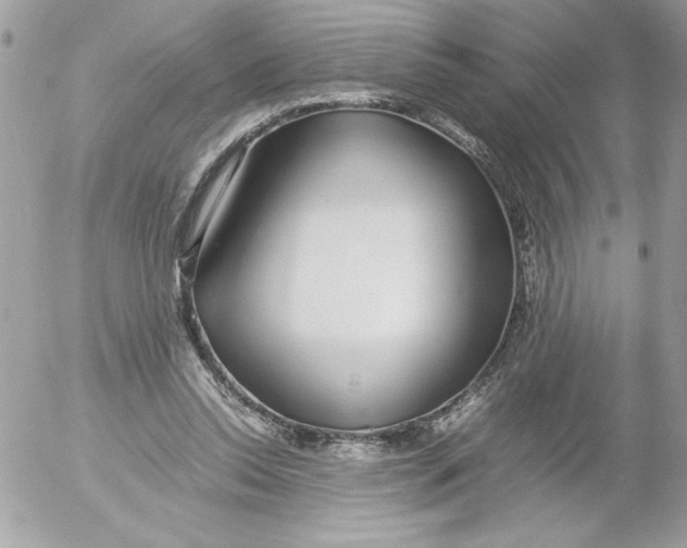 X0000052550350200507291921