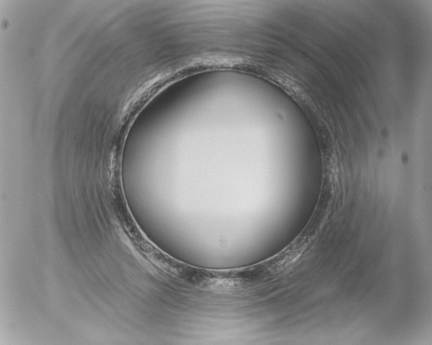 X0000052550352200507291921